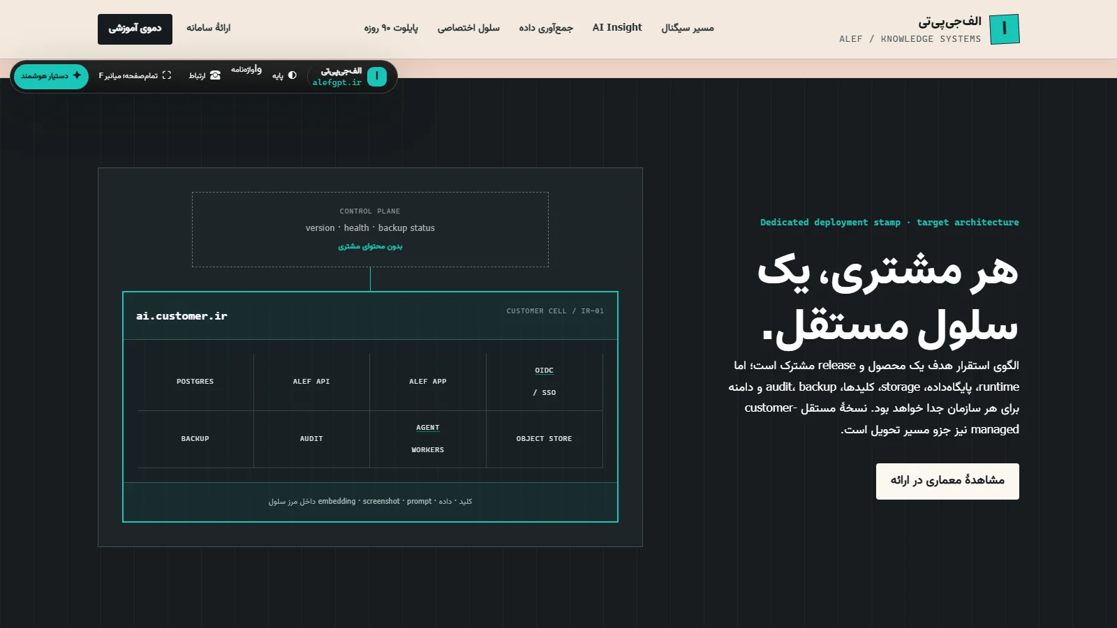 نمای واقعی نمودار سلول اختصاصی هر مشتری